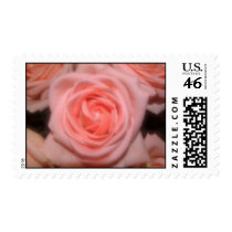Soft pink rose postage