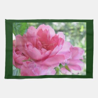 Soft Pink Rose