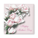 Soft Pink Roses Magnet magnets