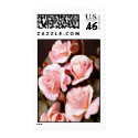 Soft Pink Roses postage