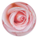 Soft Pink stickers