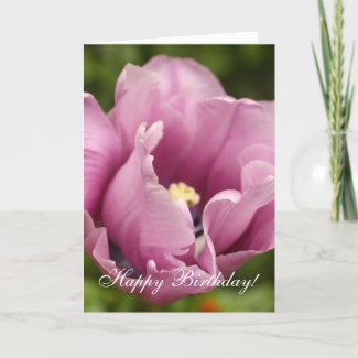 Soft pink tulip, NEW! card