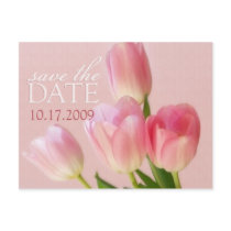 Soft Pink Tulips Save The Date Postcard by twoheartsshoppe Soft Pink Tulips Save The Date Postcard