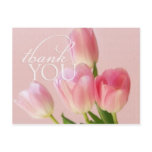 Soft Pink Tulips Thank You Postcard