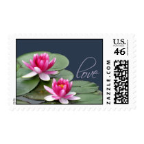 Soft pink water lily postage