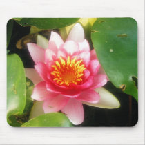 Soft Pink Waterlily mousepads by princessklb07 Soft Pink Waterlily mousepads