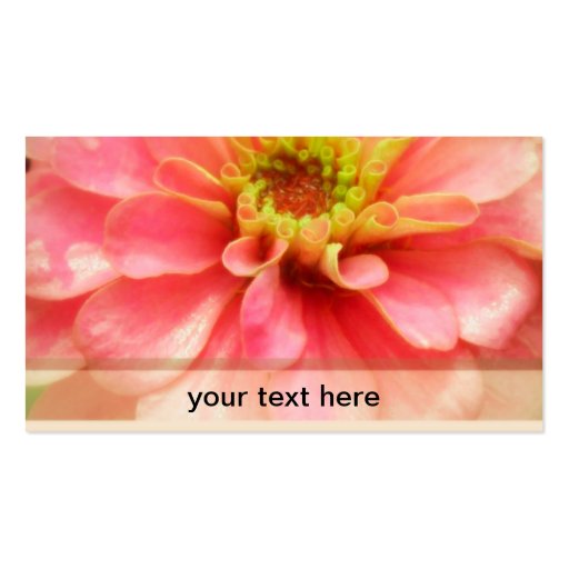 Soft Pink Zinnia Flower Business Cards (front side)