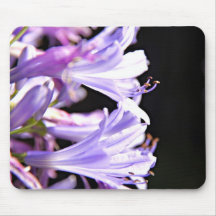Soft Purple Agapanthus Flowers - Lily of the Nile Mousemat