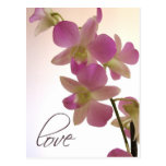Soft purple orchid post card