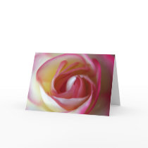 soft red rose cards by Libby soft red rose cards