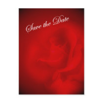Soft Red Rose Save the Date Postcard