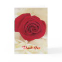 Soft Red Rose Thank You Cards by KathyHenis Soft Red Rose Thank You Cards