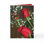 Soft Red Roses Wedding Invitation Card
