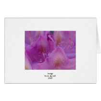 Soft Rodo cards by GroundZeroHero Soft Rodo cards