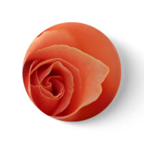 Soft Rose Petals Pins