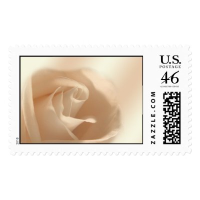 Soft Rose Stamp