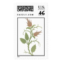 Soft Rosebud Stamp