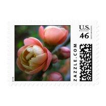 Soft Roses Wedding Postage postage