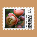 Soft Roses Wedding Postage postage