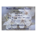 Soft Spring Evening macro flowers business cards