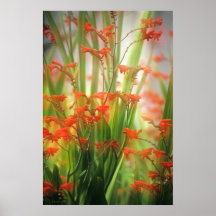 Soft Summer Blooms Poster