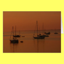 Soft Sunrise cards