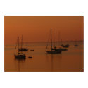 Soft Sunrise posters