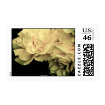 Soft Tea Rose Wedding Postage Stamp