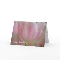 Soft Tulips cards