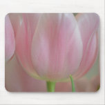 Soft Tulips Mouse Pads Soft Tulips Mouse Pads