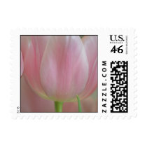 Soft Tulips postage