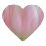 Soft Tulips Sticker