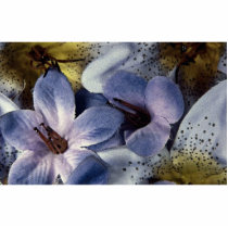 Soft violet photo cut outs