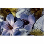 Soft violet photo cut outs