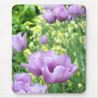 Soft, violet tulips mousepad