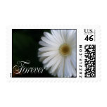 wedding postage stamps, save the date postage