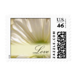 Soft white daisy wedding postage