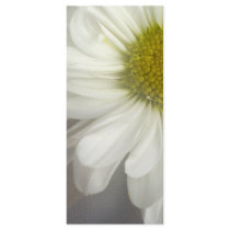 Soft White Daisy Wedding Program Full Color Rack Card