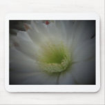 Soft White Flower Mousepads