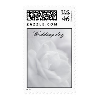 Soft white petals ... postage stamp stamp