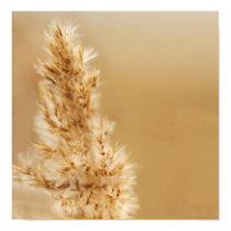 Soft Winds Canvas posters