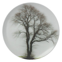 Soft winter tree dinner plates