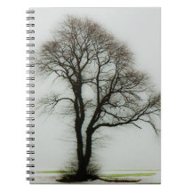 Soft winter tree notebooks