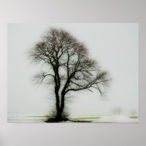 Soft winter tree poster