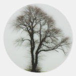 Soft winter tree round sticker
