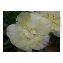 soft yellow and pink card