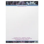 Softly Coral Double Border Letterhead