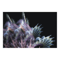 Softly Coral Poster & Print