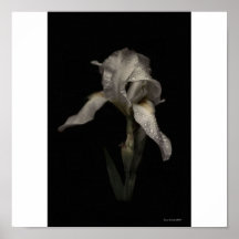 Softly Print