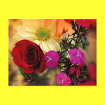 Softly Yours postcards